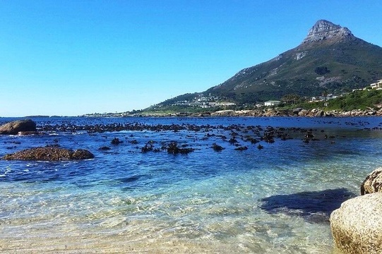 Bakoven beach with views of Lion&#39;s Head